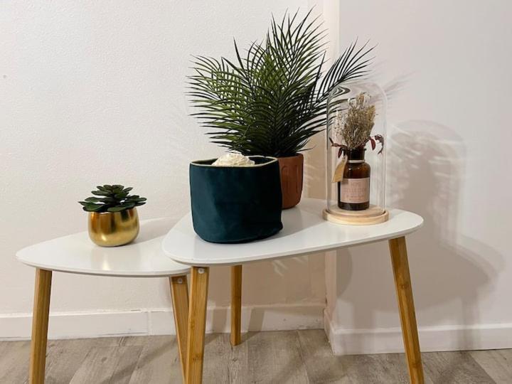 Comme Un Air De Provence A Blois Apartment Bagian luar foto